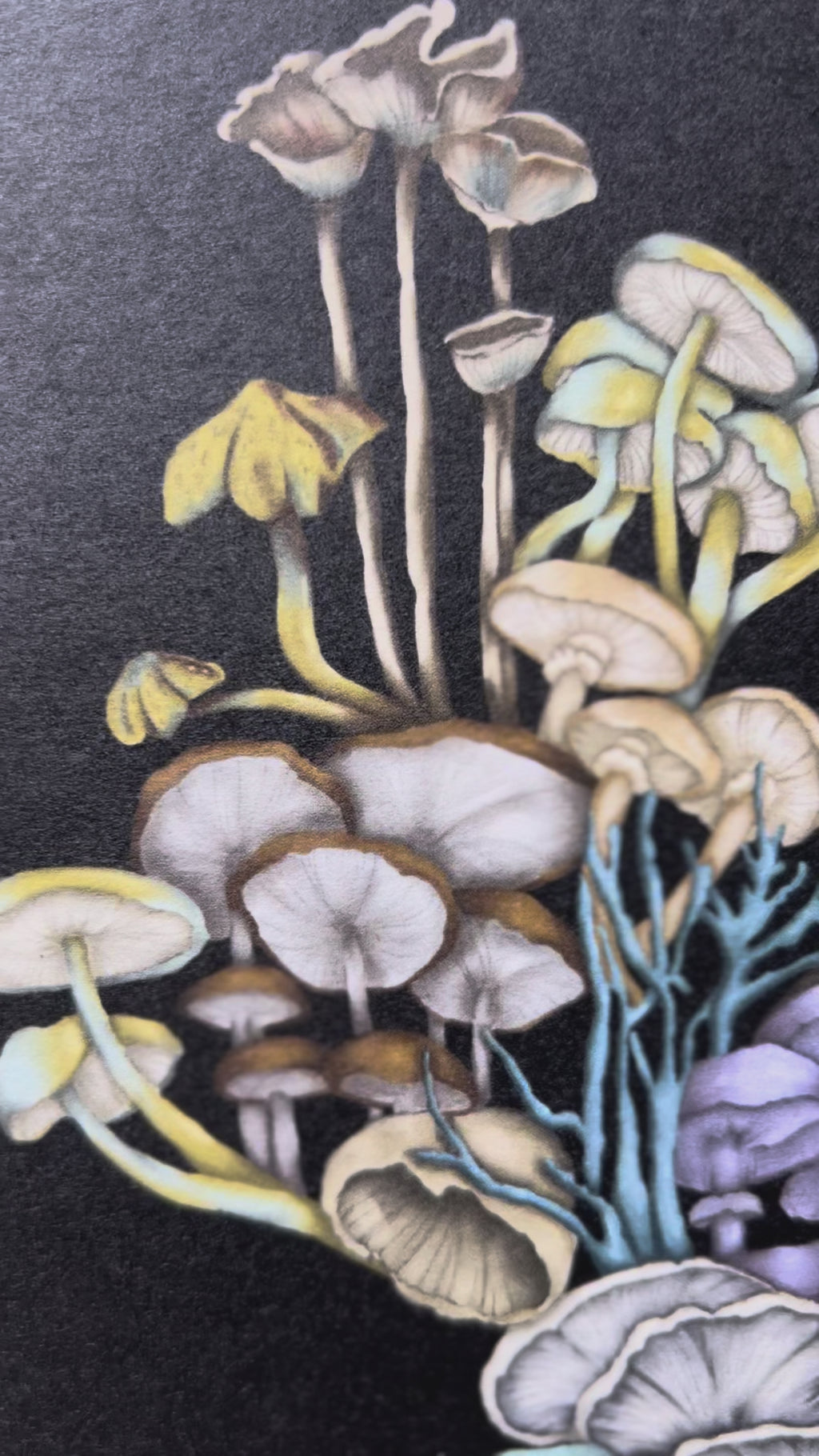 "Mycelial Network" Art Print-