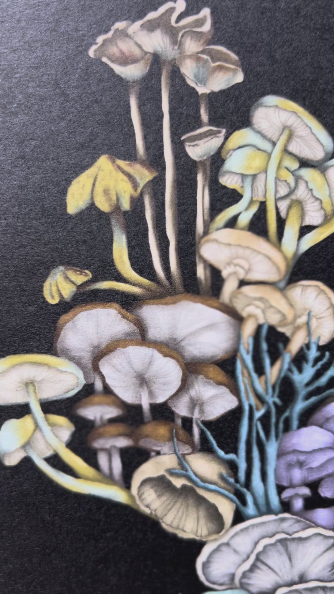 "Mycelial Network" Art Print-